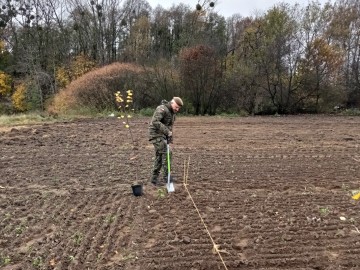 Kolejny sad w ramach projektu 